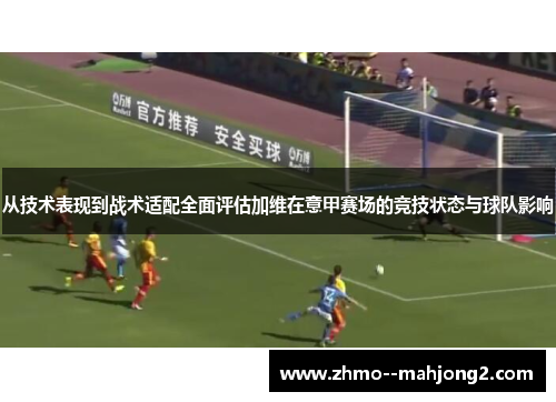 从技术表现到战术适配全面评估加维在意甲赛场的竞技状态与球队影响