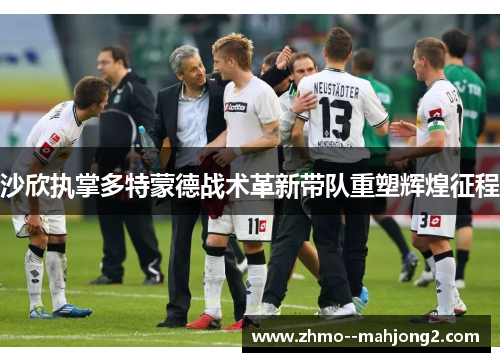 沙欣执掌多特蒙德战术革新带队重塑辉煌征程 沙欣执掌多特蒙德战术革新带队重塑辉煌征程