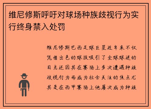 维尼修斯呼吁对球场种族歧视行为实行终身禁入处罚